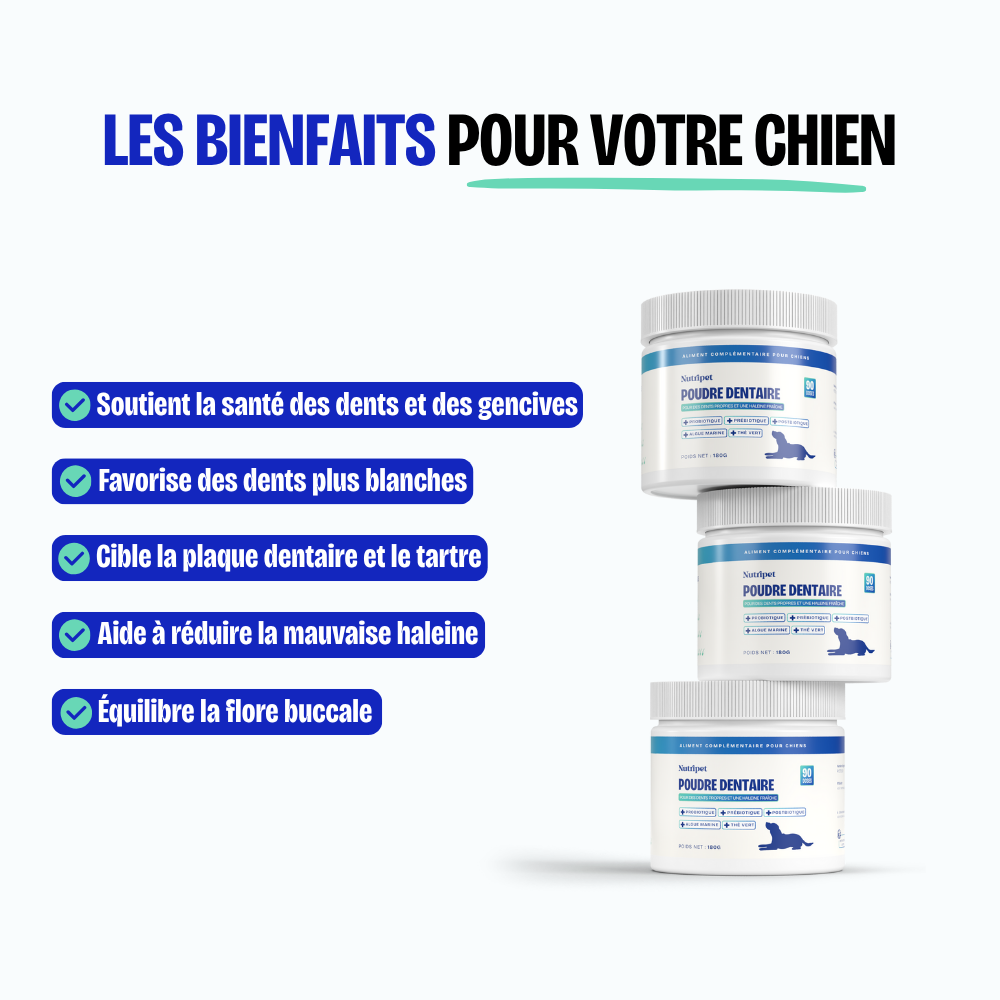 Poudre Dentaire (Copie)