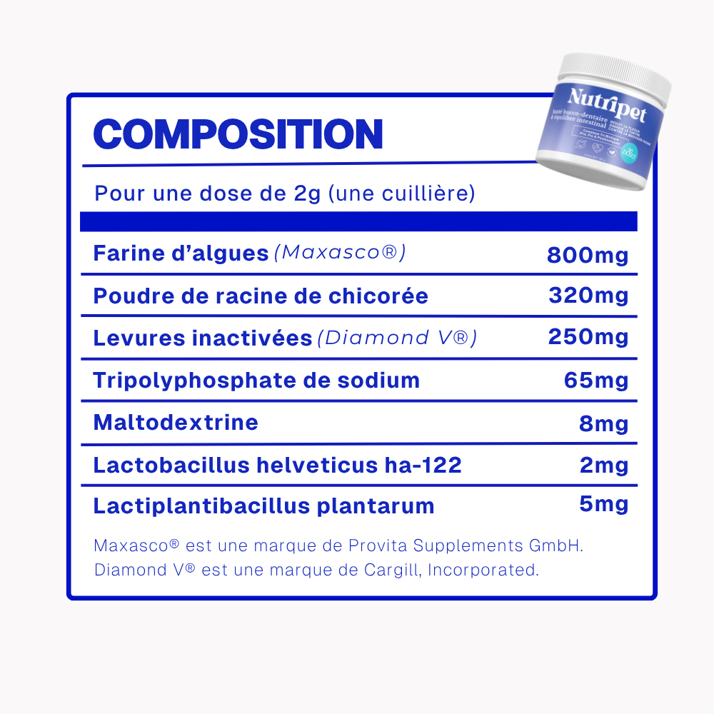 Poudre Dentaire Hygiène, Dents & Haleine