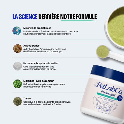 Poudre Dentaire (Copy)