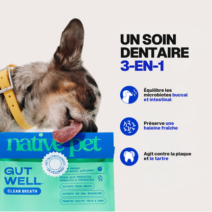 Poudre Dentaire Hygiène, Dents & Haleine