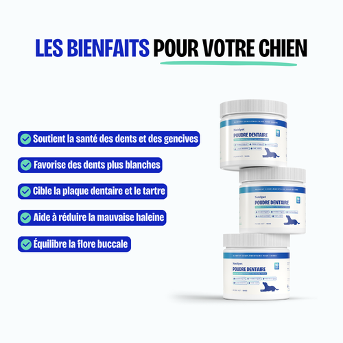 Poudre Dentaire (Copie)