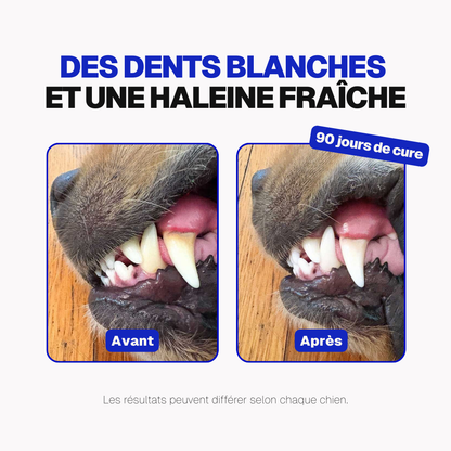 Poudre Dentaire Hygiène, Dents & Haleine