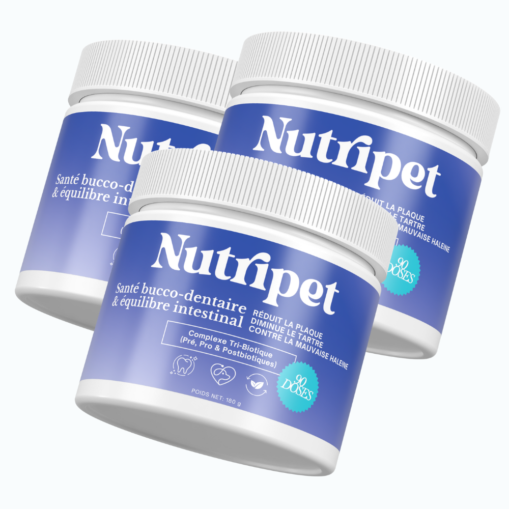 Poudre Dentaire 3 en 1 : Dents, Haleine & Gencives