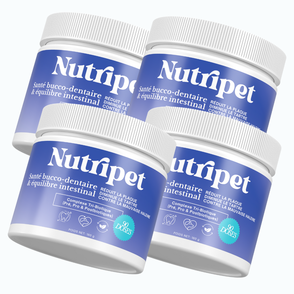 Poudre Dentaire 3 en 1 : Dents, Haleine & Gencives