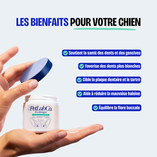 Poudre Dentaire (Copy)