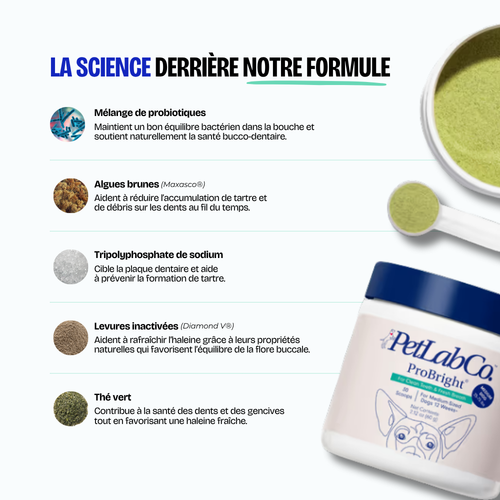 Poudre Dentaire (Copie)