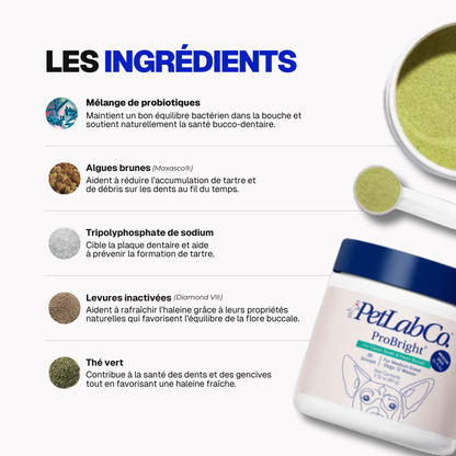 Poudre Dentaire Hygiène, Dents & Haleine