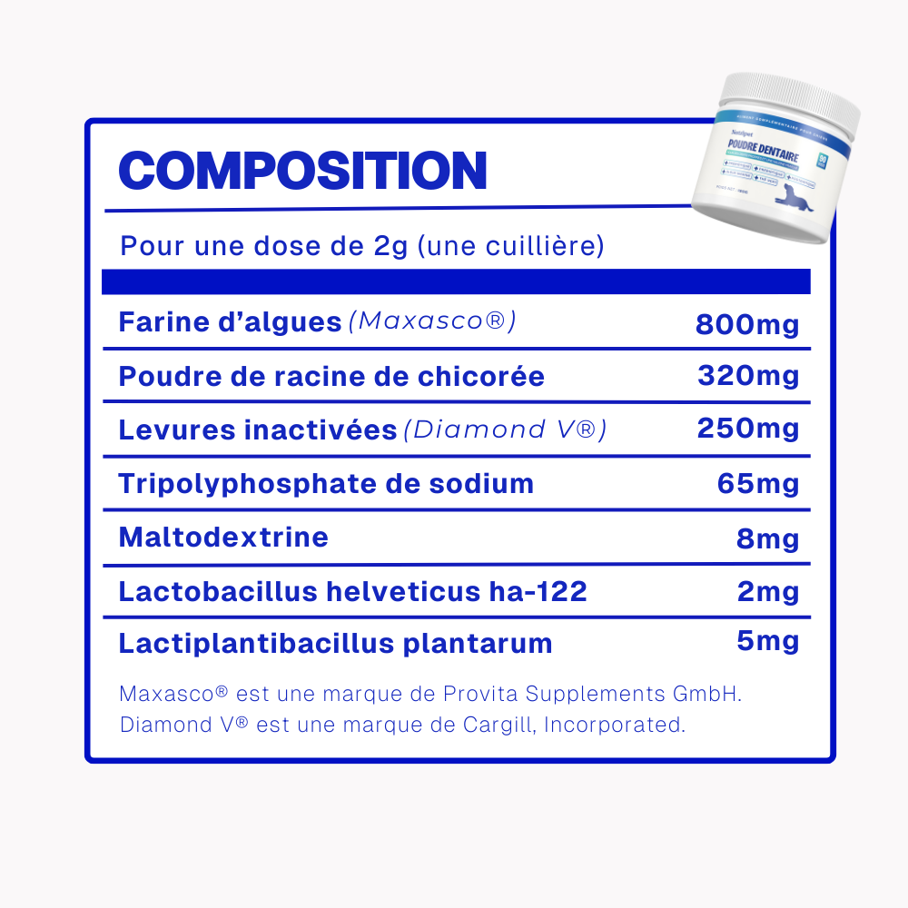 Poudre Dentaire Hygiène, Dents & Haleine