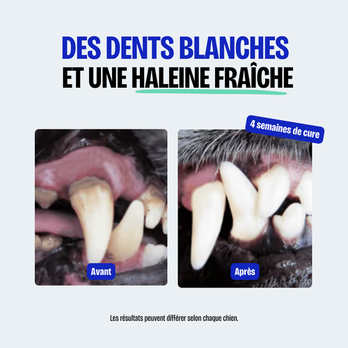 Poudre Dentaire (Copy)