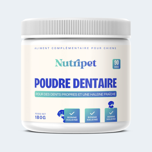 Poudre Dentaire (Copy)