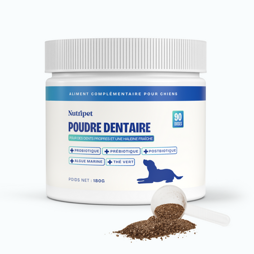 Poudre Dentaire (Copie)