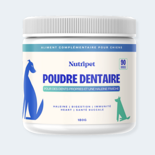 Poudre Dentaire (Copy)