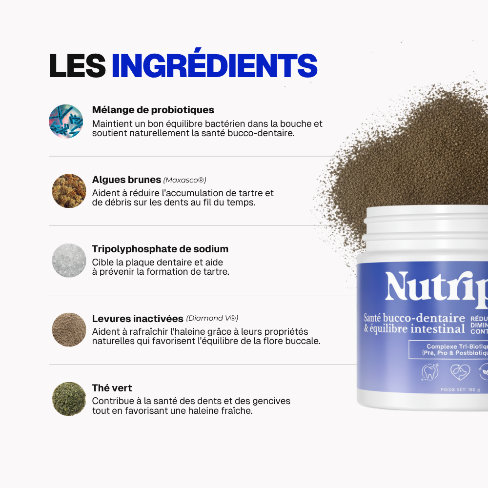 Poudre Dentaire Hygiène, Dents & Haleine