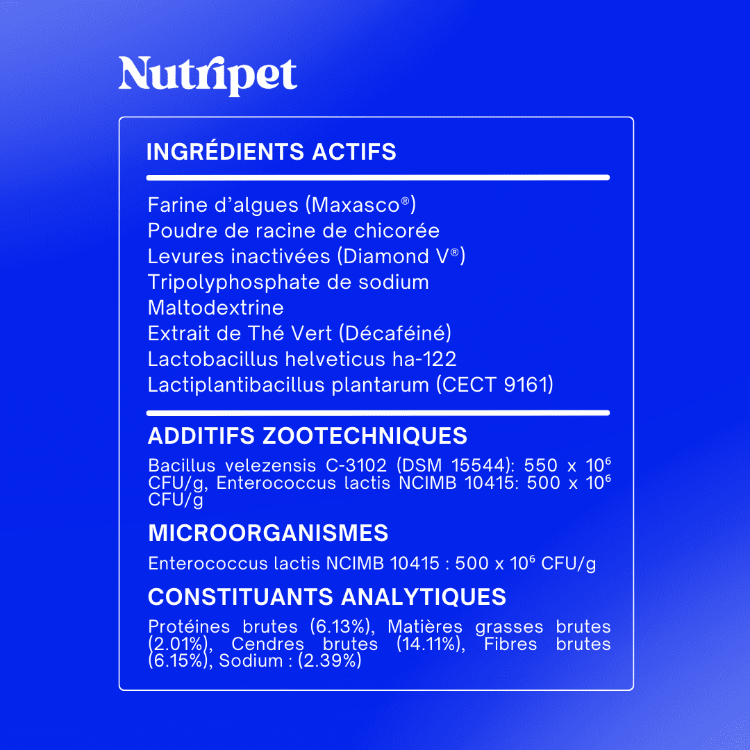 Poudre Dentaire - Algue Marine & Complexe Tribiotique