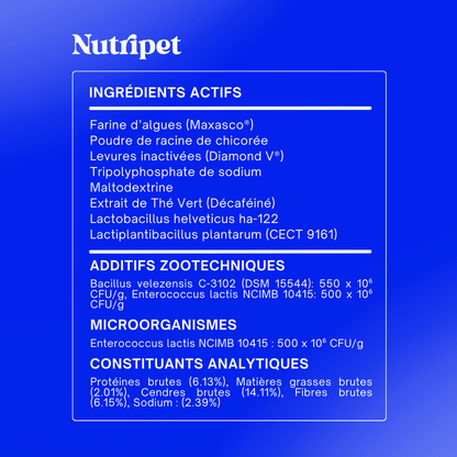 Poudre Dentaire 3 en 1 : Dents, Haleine & Gencives