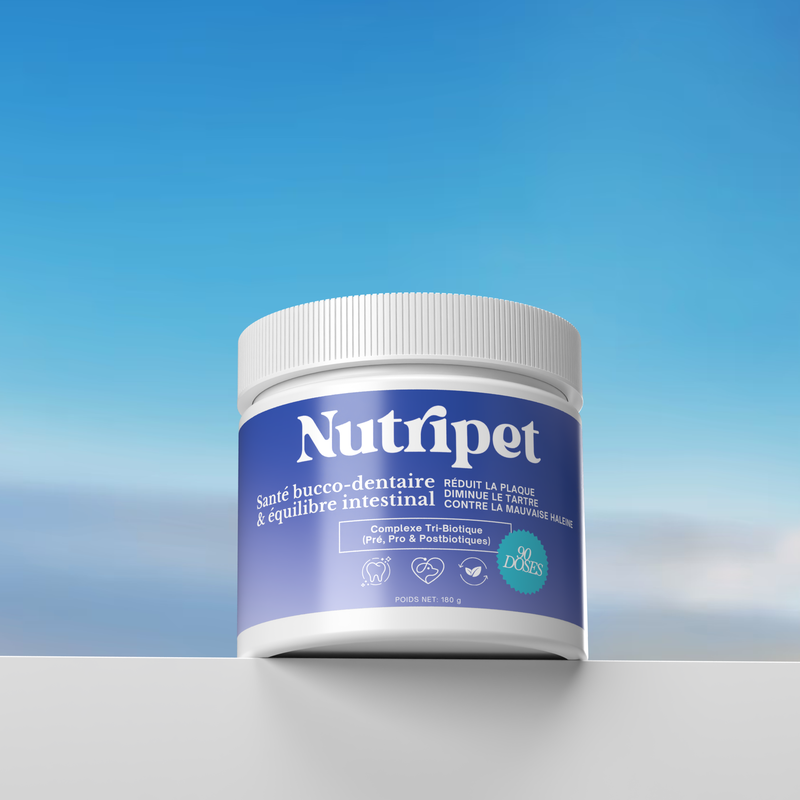 La poudre dentaire naturelle que votre chien