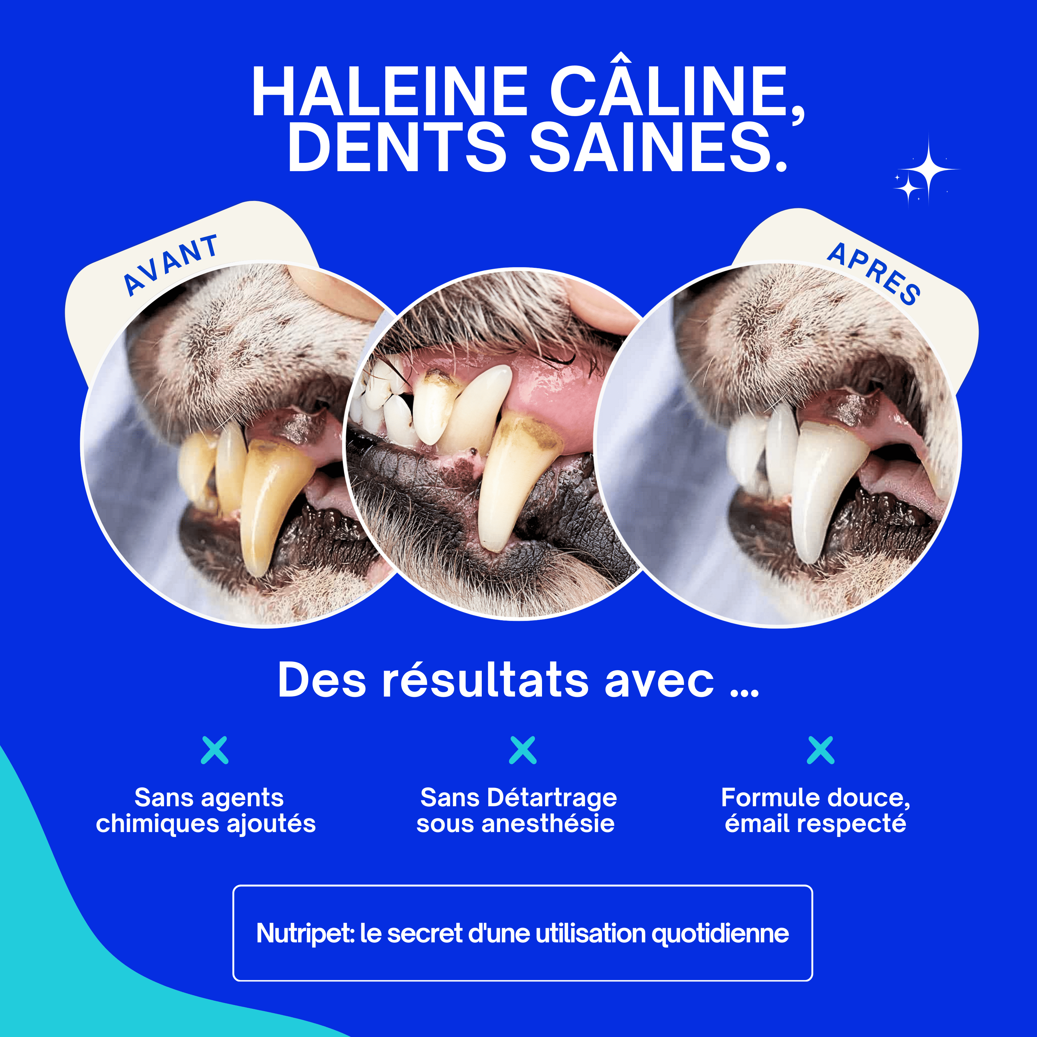 Poudre Dentaire - Algue Marine & Complexe Tribiotique