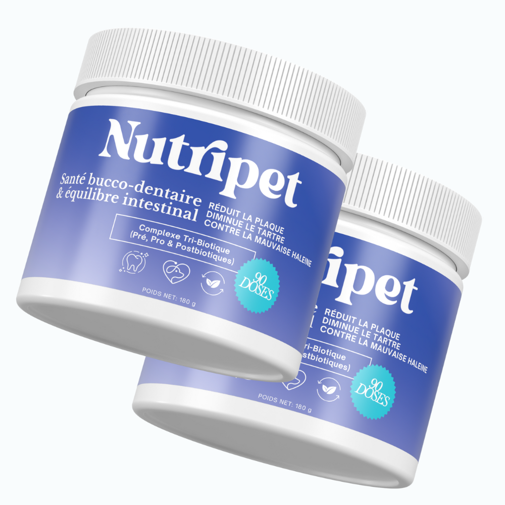 Poudre Dentaire 3 en 1 : Dents, Haleine & Gencives