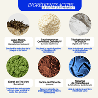 Poudre Dentaire - Algue Marine & Complexe Tribiotique