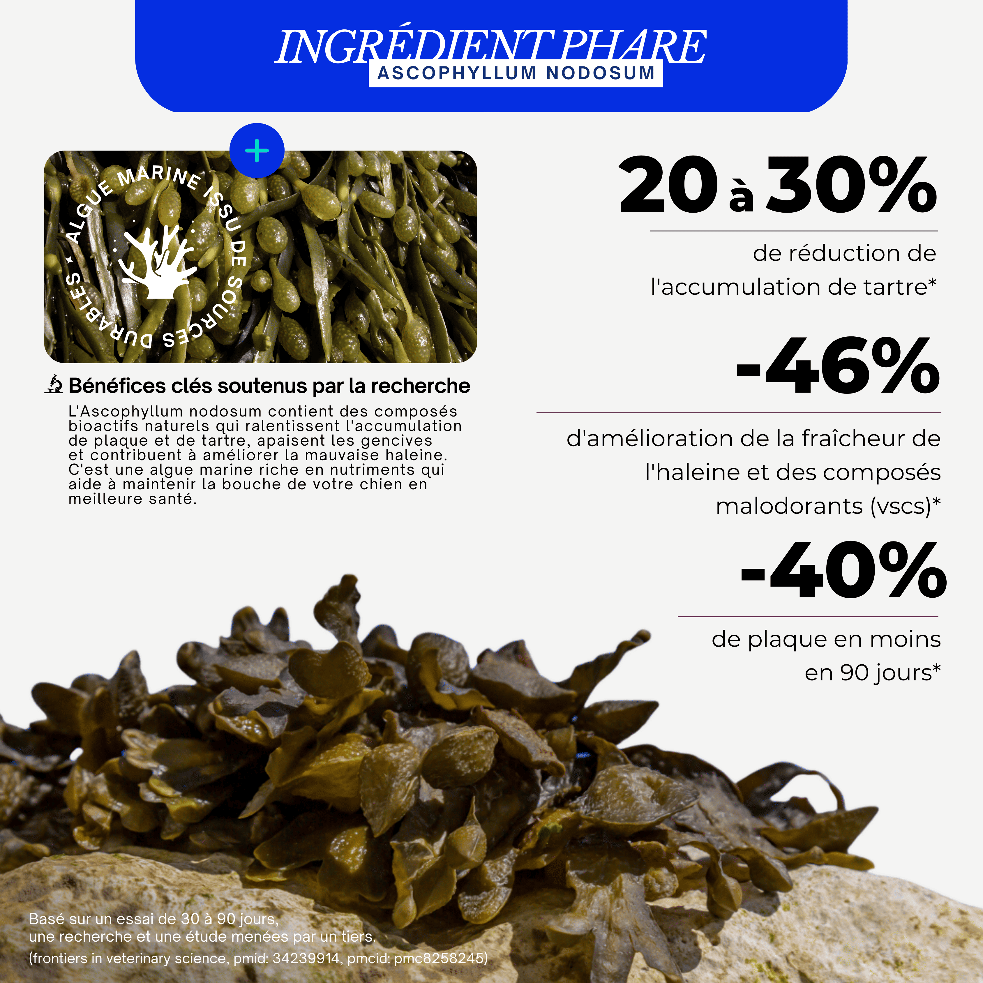 Poudre Dentaire - Algue Marine & Complexe Tribiotique