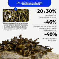 Poudre Dentaire - Algue Marine & Complexe Tribiotique