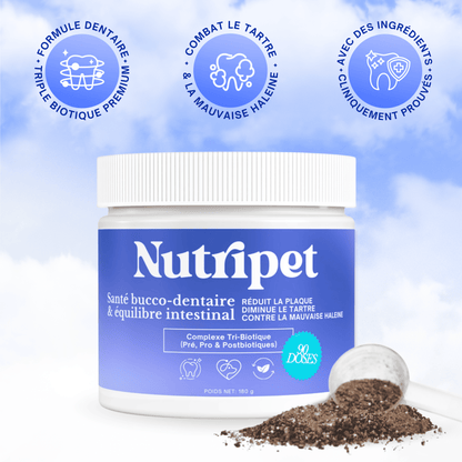 Poudre Dentaire 3 en 1 : Dents, Haleine & Gencives